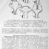 callophrys danchenkoi first description 3